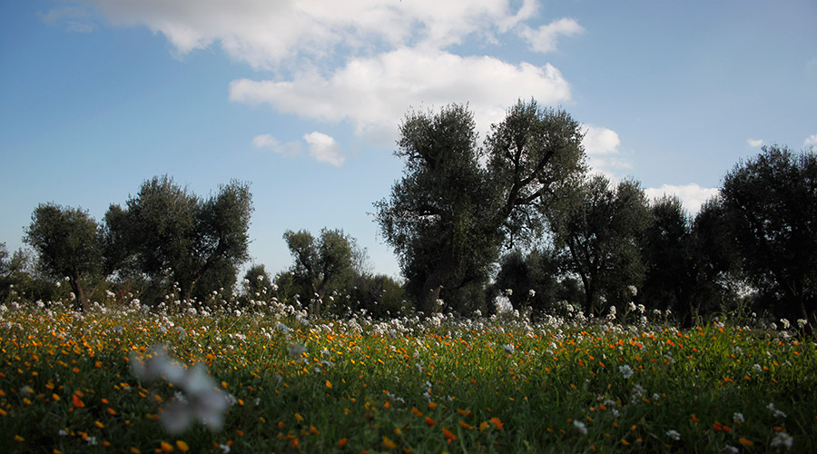 Visite in azienda // contatti Mezzaria